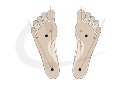 Hier nochmal das V im V schematisch illustriert: Mit der Vorstellung, die Seiten der Fußsohle zu den V-Strukturen im Fuß auszurichten, werden die Muskeln, Sehnen, Faszien optimal organisiert. Der Fuß wird stabil und kräftig.